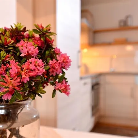 Apartment Vorderlaiming Soll